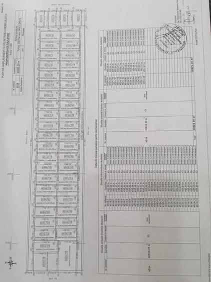 Spațiu comercial, în Vadu Anei