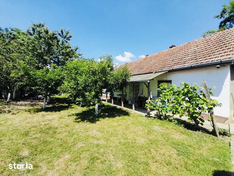 Casă cu 2 camere cu Teren 2870 Mp în Sântandrei