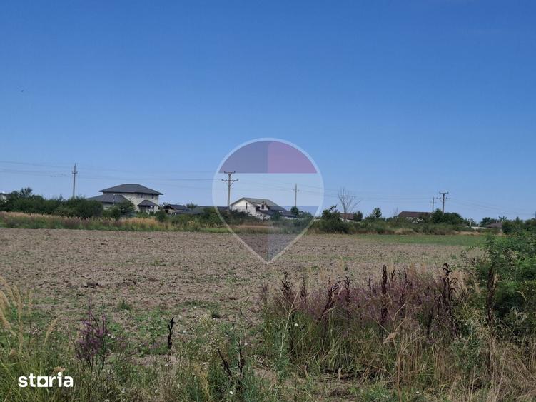 Teren de 28800 mp, în Drăgănescu