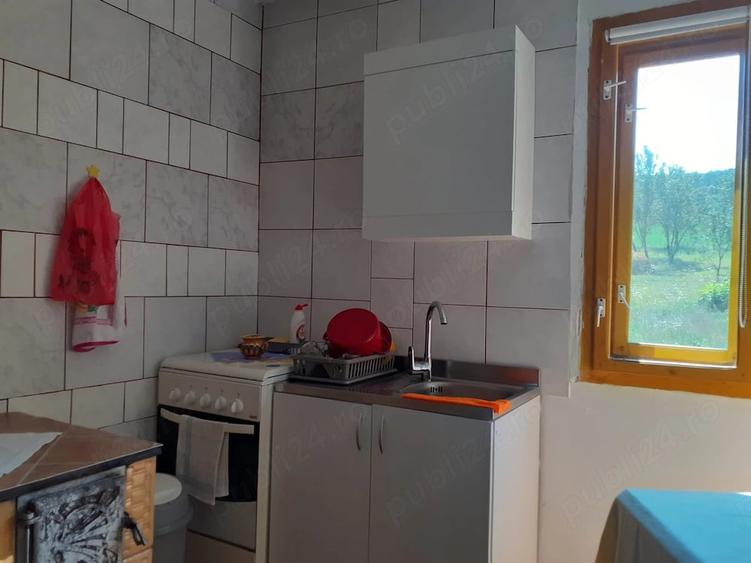 Casă cu Teren 8000 Mp în Dăbâca