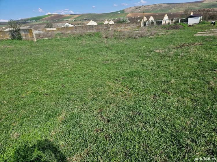Teren de 15000 mp, în Cămărașu