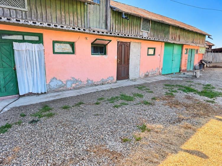 Apartament cu 2 camere în Biliești