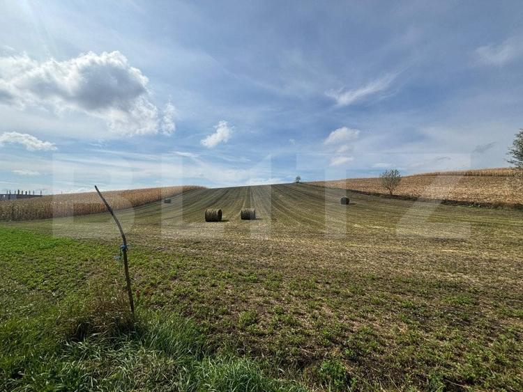 Teren Construcții intravilan de 7800 mp, în Exterior Vest