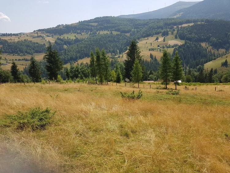 Teren Construcții extravilan de 7200 mp, în Arieșeni