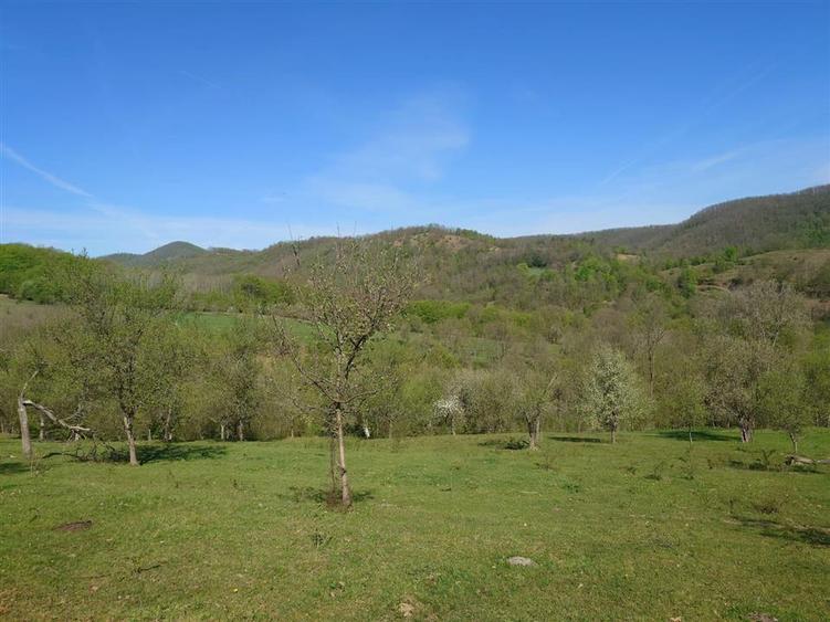Teren intravilan de 11423 mp, în Luncoiu de Jos