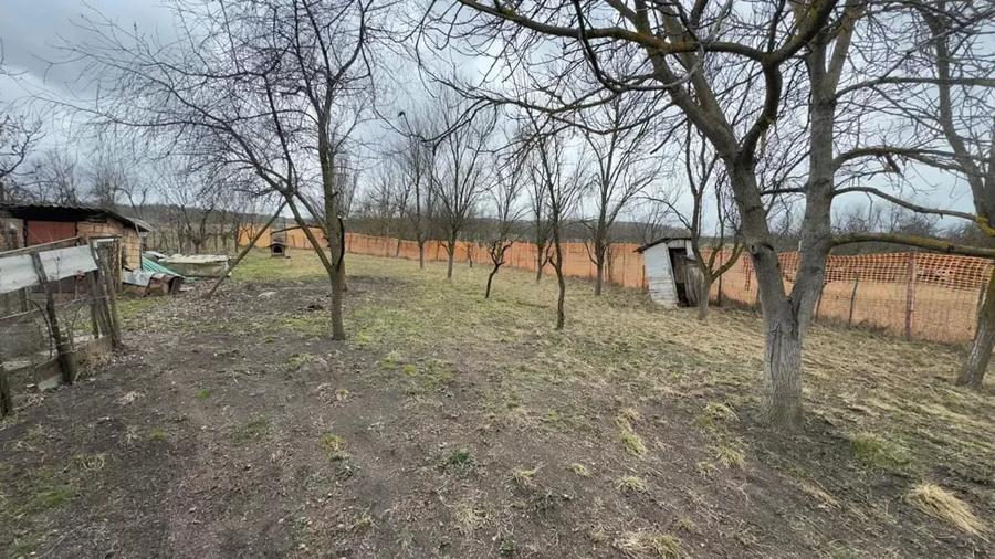 Teren de 1064 mp, în Bârlea