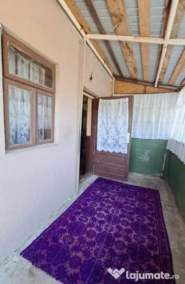 Casă cu 3 camere cu Teren 1667 Mp în Teiu