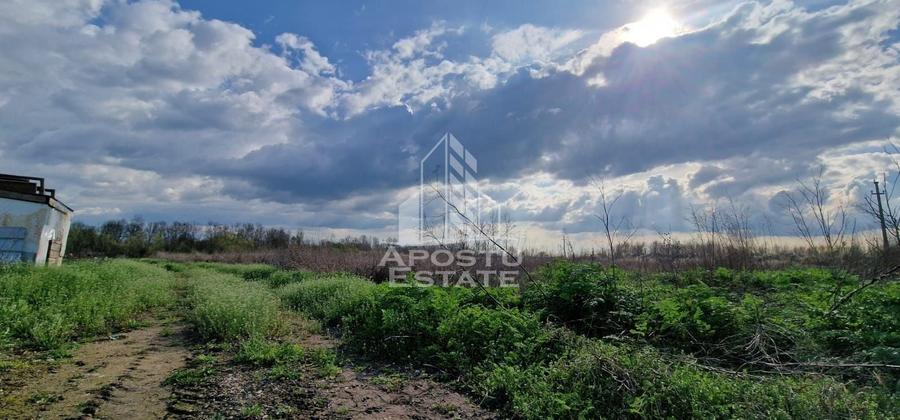 Teren Construcții intravilan de 1700 mp, în Sacoșu Turcesc