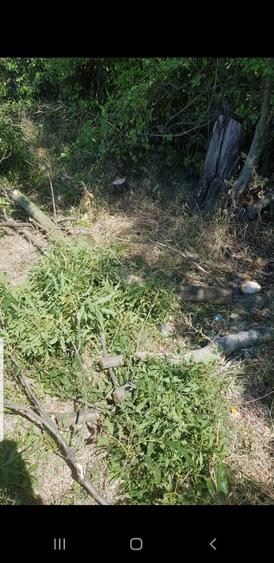 Teren Construcții intravilan de 4998 mp, în Gorgota