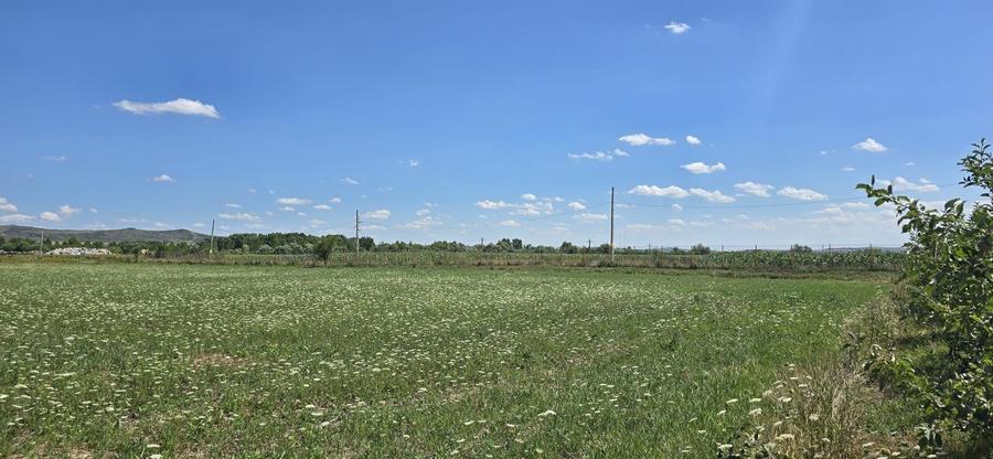 Teren Construcții intravilan de 23020 mp, în Răscruci