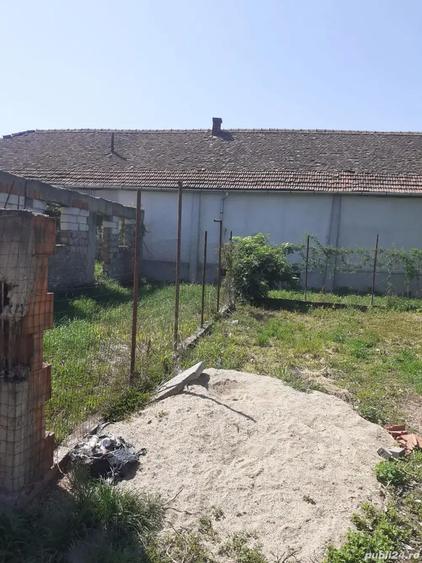 Teren de 300 mp, în Frumușeni