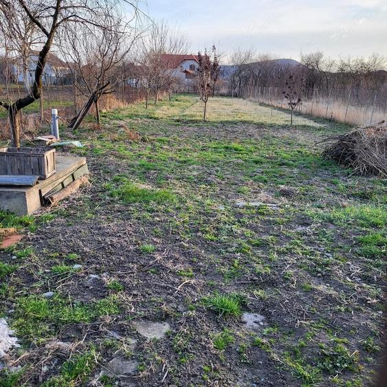 Casă cu Teren 800 Mp în Central