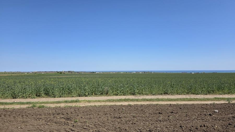 Teren agricol extravilan de 2000 mp, în Corbu