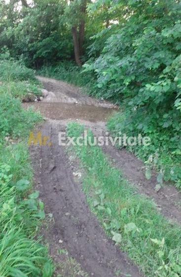 Teren de 12421 mp, în Central