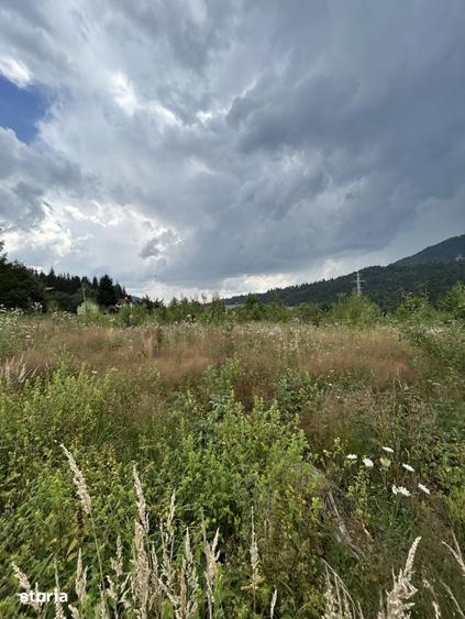 Teren de 1724 mp, în Nord