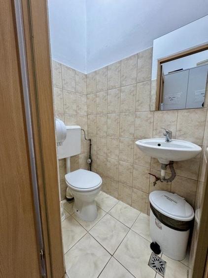 Spatiu comercial stradal, zona centrala, Timisoara - 2