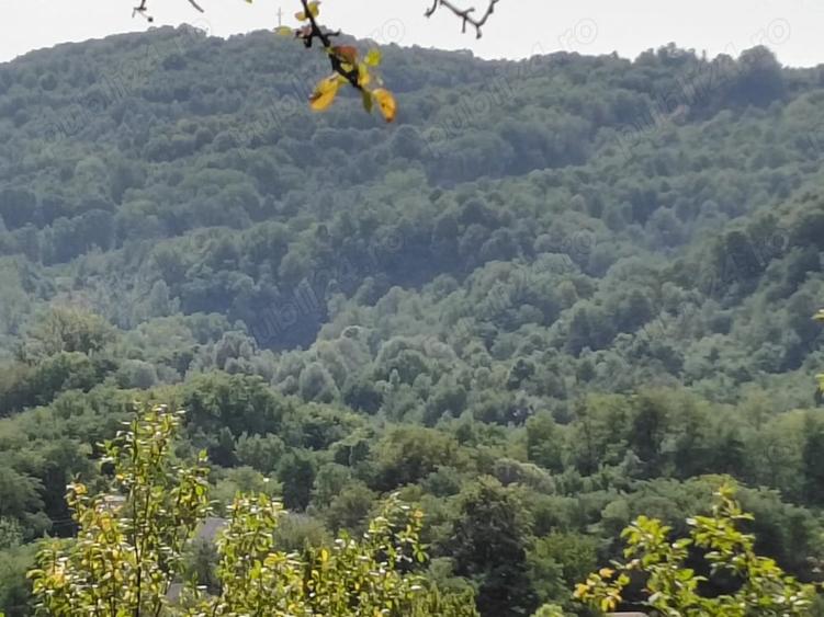 Teren de 2050 mp, în Livadea