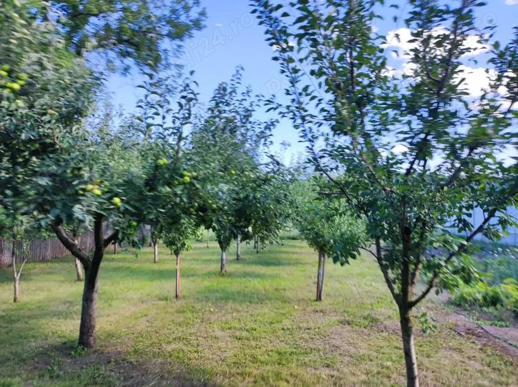 Casă în Central