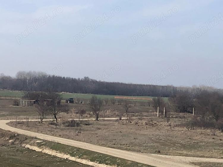 Teren de 622 mp, în Clinceni