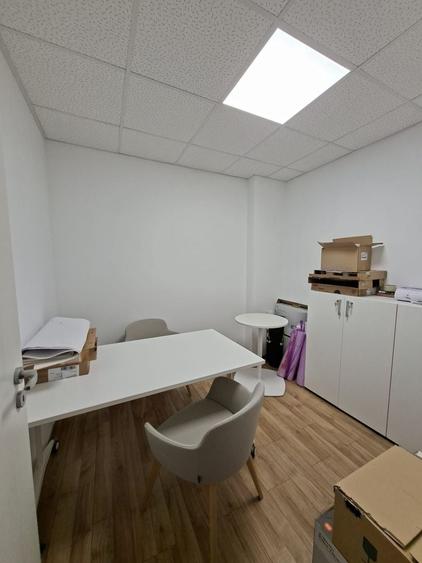 Birou, de 160.19000244141 mp, în Elisabetin