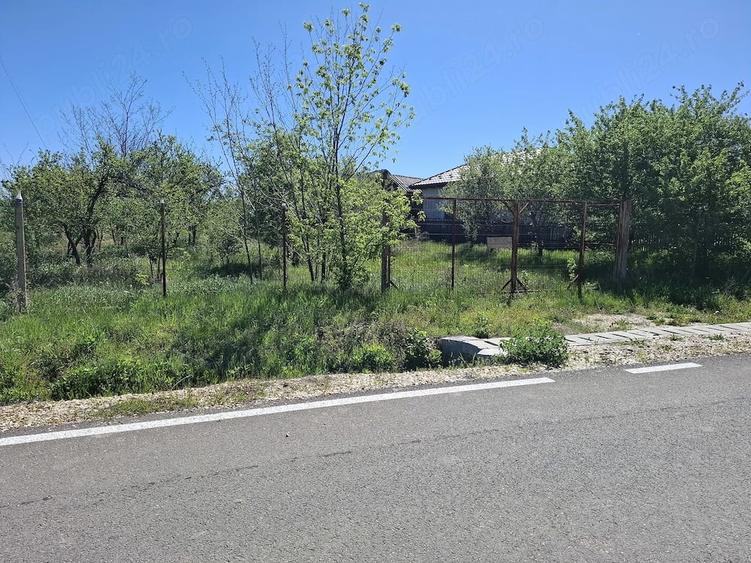 Teren de 4300 mp, în Vedea