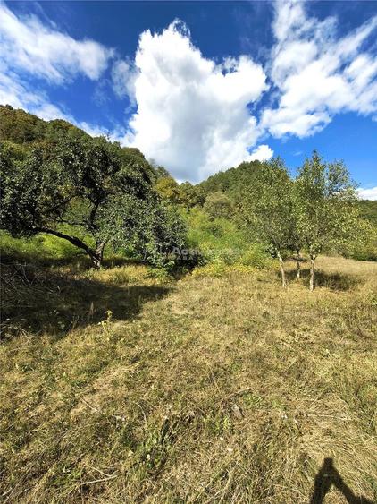 Teren de 2500 mp, în Colonia Tălmaciu