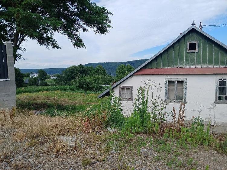 Teren de 2300 mp, în Pătrăuți