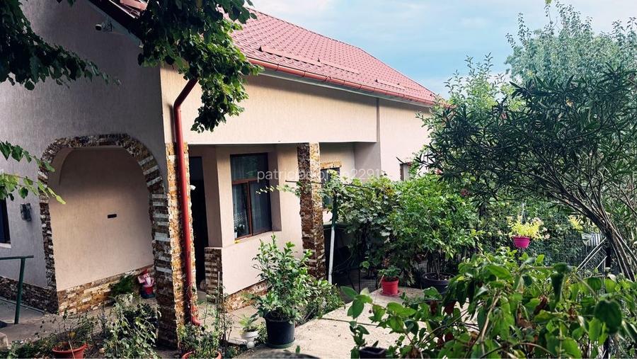 Casa de vanzare Caracal-Potroseni 2300m2