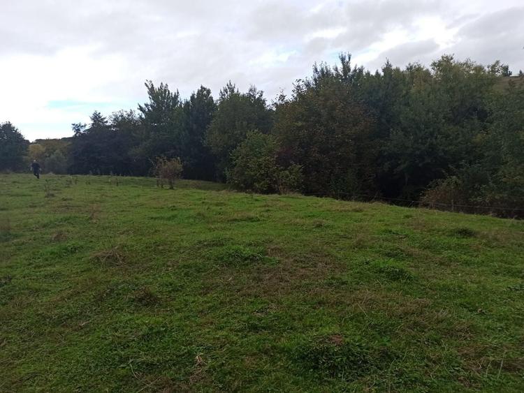 Teren intravilan de 400 mp, în Rășinari