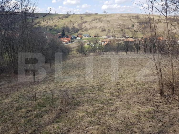 Teren Construcții intravilan de 13800 mp, în Suceagu