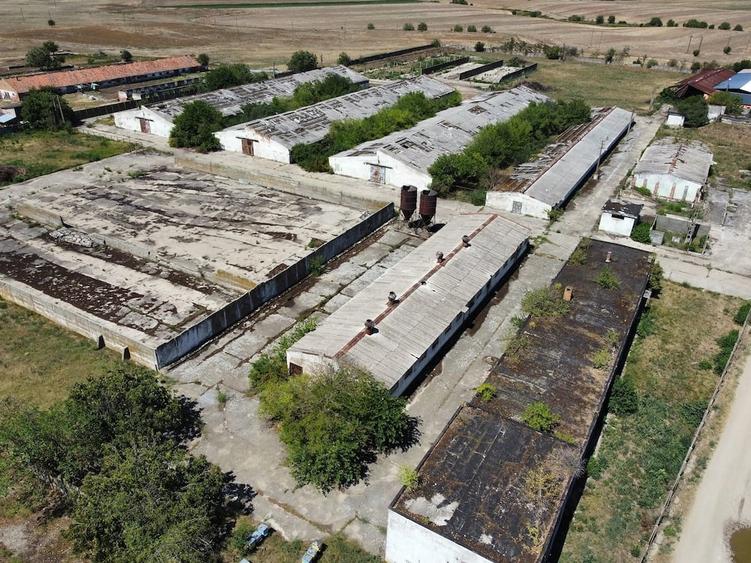 Spațiu comercial, de 7,950 mp, în Orțișoara