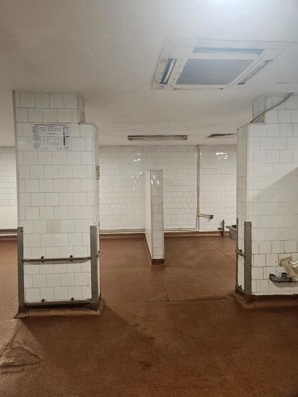 Spațiu comercial, de 500 mp, în Lizeanu
