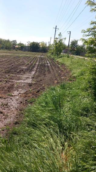 Teren de 3800 mp, în Stănești