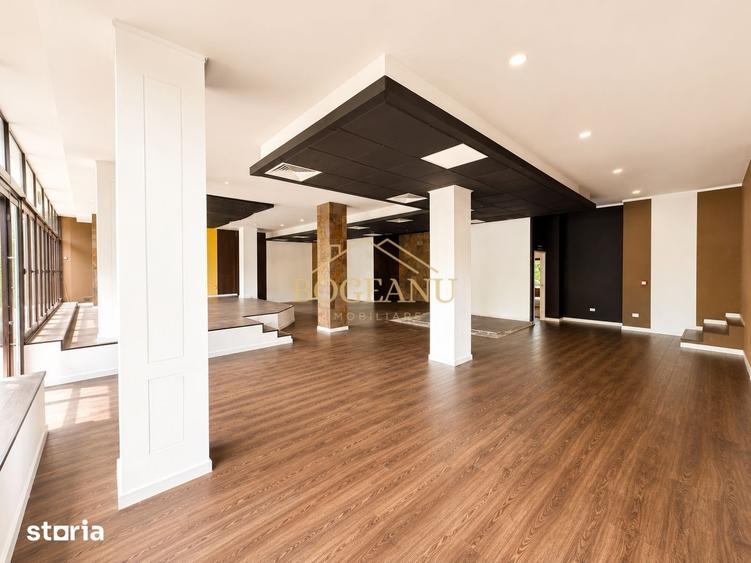 Spațiu comercial, de 400 mp, în Elisabetin