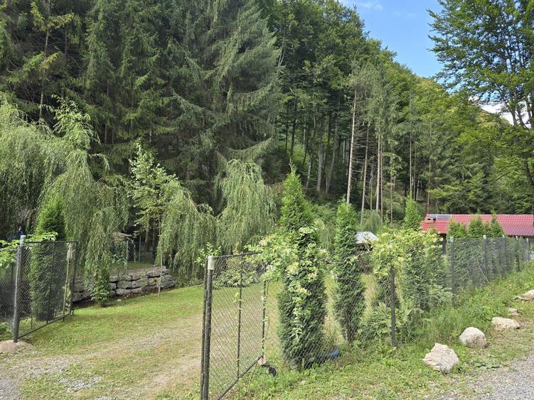 Casă cu 3 camere cu Teren 1000 Mp în Central