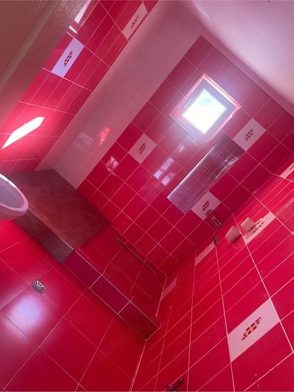 Casă cu 3 camere cu Teren 1400 Mp în Arcalia