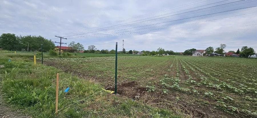 Teren Construcții intravilan de 1000 mp, în Moara Vlăsiei