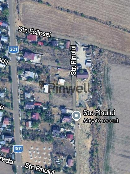 Teren Intravilan 1000 mp Tanganu, Cernica, zona case noi - Strada Pinului - 4