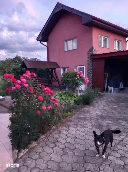 Casă cu 5 camere cu Teren 1000 Mp în Dâmbu Pietros