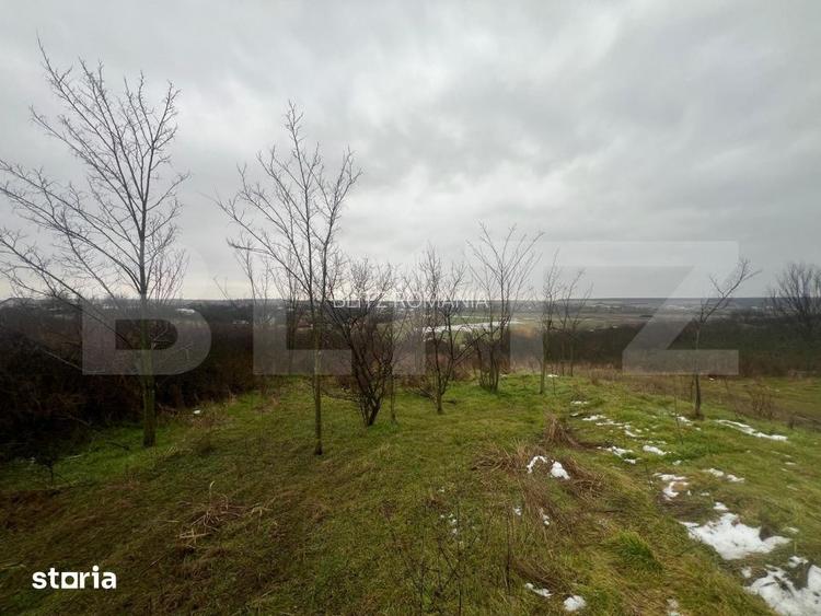 Teren intravilan, 2298 mp, strada Robanesti
