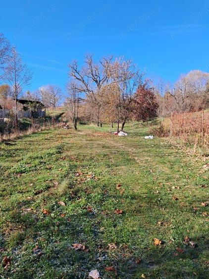 Casă cu 3 camere cu Teren 6772 Mp în Ursoaia
