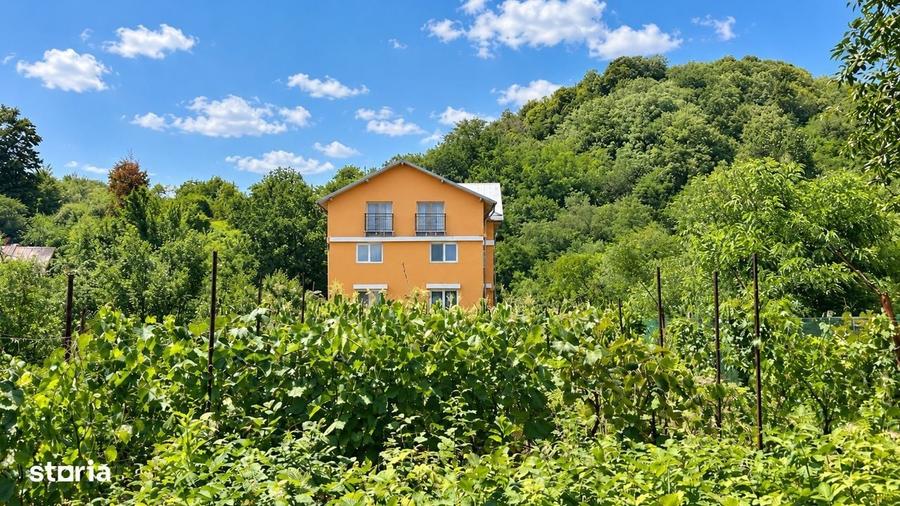 Casă cu 4 camere în Filipeștii de Pădure