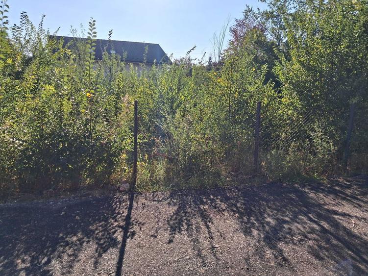 Vand teren Corbeanca Laguna Albastra 624mp 85000 Euro - 1