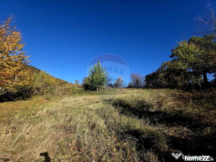 Casă cu 5 camere cu Teren 2700 Mp în Alexandru cel Bun