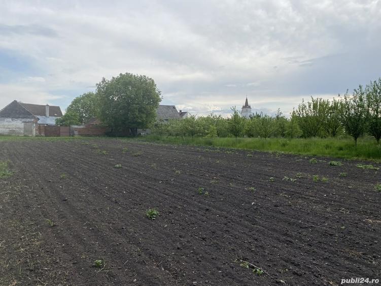 Teren în Hărman