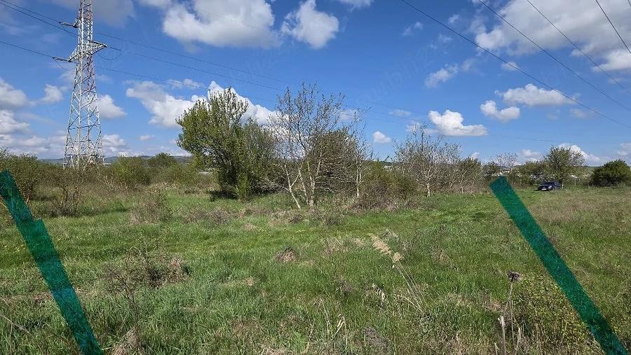 Teren de 5000 mp, în Mihai Viteazu
