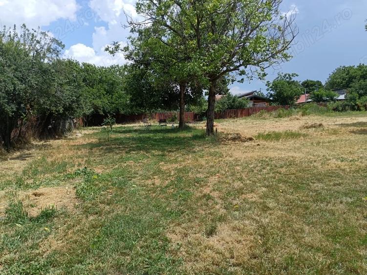 Teren intravilan de vanzare in Uzunu - 7