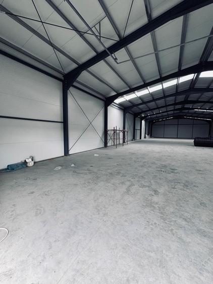 Spațiu industrial, de 596 mp, în Dumbrăvița