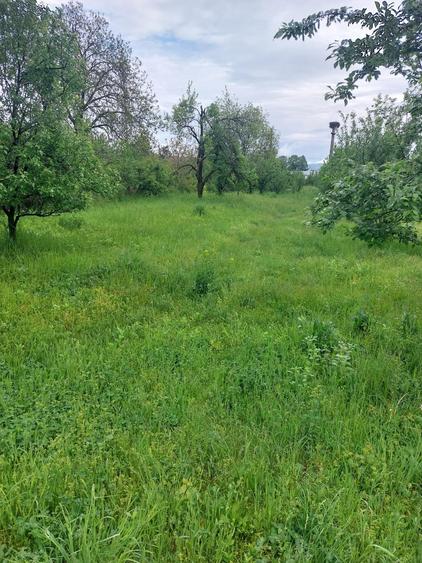 Teren Construcții intravilan de 5265 mp, în Teișani