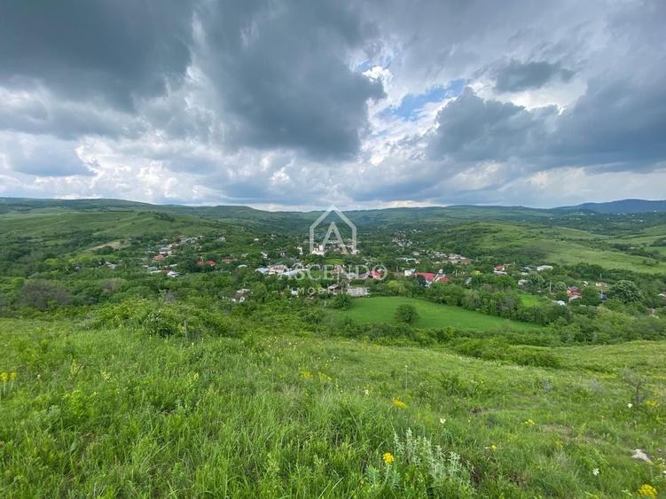 Teren Construcții intravilan de 15900 mp, în Fințești